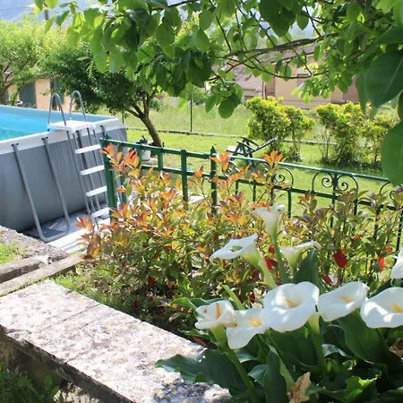 Rosa * Barga