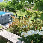 Rosa * Barga